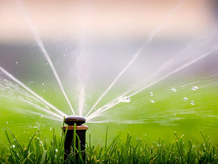 کاردانی ناپیوسته تکنولوژی آبیاری